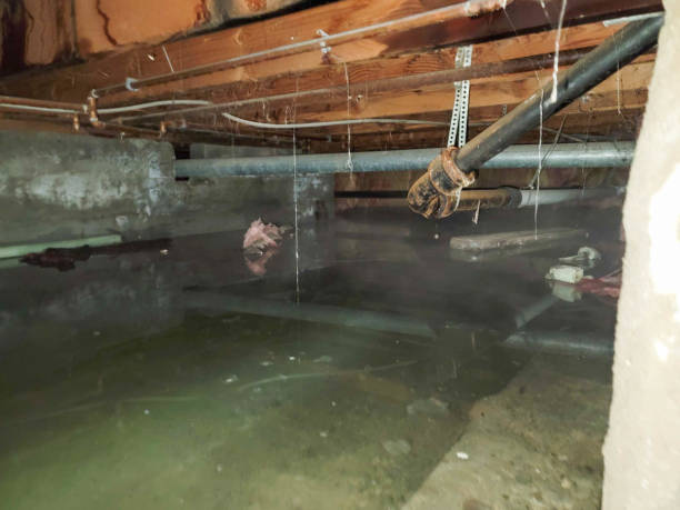 Best Local water damage restoration  in Keno, OR
