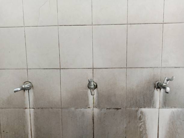 Best Professional water damage repair  in Keno, OR
