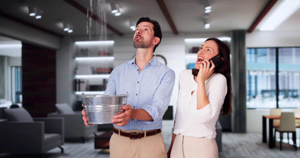 Best Ceiling water damage repair  in Keno, OR