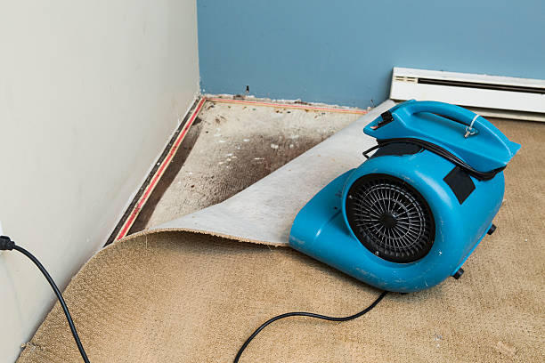 Best Water damage restoration experts  in Keno, OR
